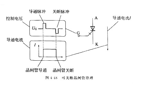 小鱼儿157333五点来料