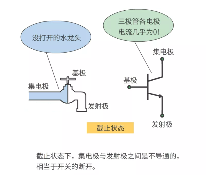 小鱼儿157333五点来料