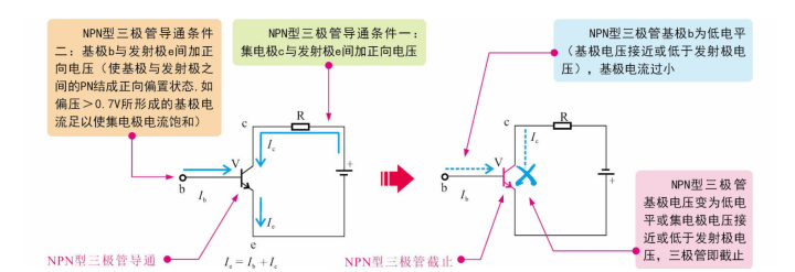 小鱼儿157333五点来料