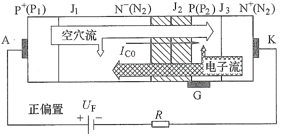 小鱼儿157333五点来料