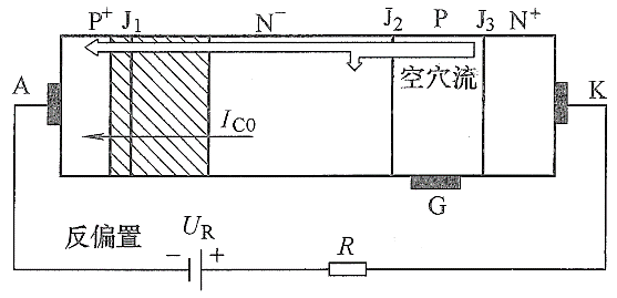 小鱼儿157333五点来料